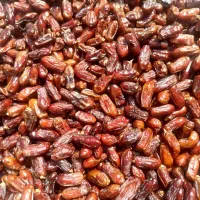 خرمای آجیلی|خوردنی و آشامیدنی|لامرد, |دیوار