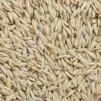 خریدار جو مقدار ۱۰ تن