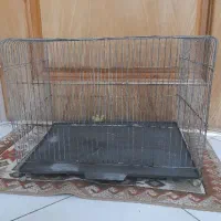 قفس پرنده|لوازم جانبی حیوانات|اصفهان, بهارستان (مخابرات)|دیوار