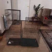 قفس پرنده همه مدل