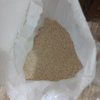 ۲۰کیلو تخم جو هاشمی