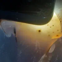 سنگ راف  عقیق وکهربا وشجر ویشم و زبرجد|جواهرات|سبزوار, قائم|دیوار