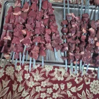 نیروی خانم برای گرفتن سیخ