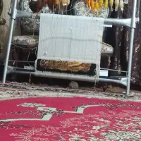 دارقالی  با نقشه دختر و ببر با تمامی وسایل