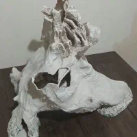 دکوری خاص و لاکچری