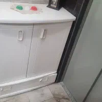 جاکفشی سفید