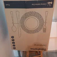 کارتن ظرفشویی پاکشومانو