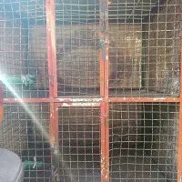 دوعددقفس آهنی جای مرغ