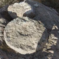 خدمات نظافتی و زبح آریا