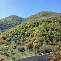 فروش زمین درروستایی