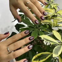 کاشت ناخن و آموزش ترمیم ۲۶۰کراتین مو از یک میلیون|خدمات آرایشگری و زیبایی|شیراز, حافظیه|دیوار