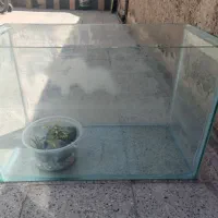 آکواریوم همراه لوازم