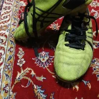 کفش استوک دار|کیف، کفش، کمربند|مشهد, رضاشهر|دیوار