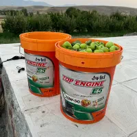 سطل (چیدن سیب)