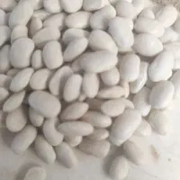 فروش 3تن لوبیا|عمدهفروشی|لردگان, |دیوار