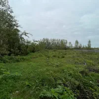 ویلایی کلنگی روستای المان