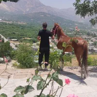فروشی