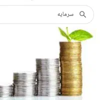 نیازمند سرمایه