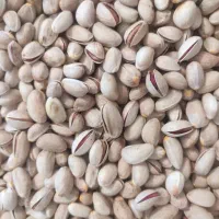 فروش پسته درجه یک|خوردنی و آشامیدنی|شیراز, دست خضر|دیوار