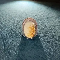 انگشتر شجر|جواهرات|اقبالیه, |دیوار