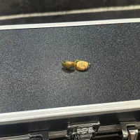 طلا 50 گرم همه با فاکتور|جواهرات|کرج, باغستان|دیوار