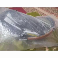 کریر نونو|کالسکه و لوازم جانبی|اهواز, عین ۲|دیوار