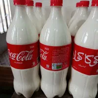 کشک گاوی