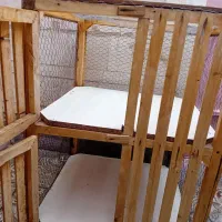 قفس چوبی ۲ طبقه ام دی اف