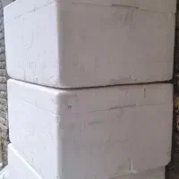 یخدان یونولیت