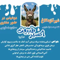 شیر تازه الاغ|خوردنی و آشامیدنی|قم, زنبیل آباد|دیوار