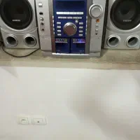 ضبط