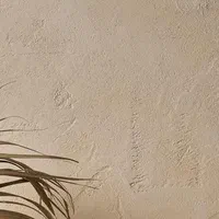 نقاش ساختمام میکروسمنت گچ کار|استخدام معماری، عمران و ساختمانی|تهران, تجریش|دیوار
