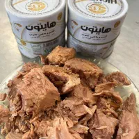 کنسرو ماهی هوور ۱۸۰ گرم هایتون