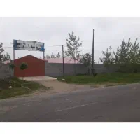 گاوداری با مجوز|فروش دفتر صنعتی، کشاورزی، تجاری|تولم شهر, |دیوار