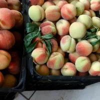 هلو|خوردنی و آشامیدنی|سراب, |دیوار