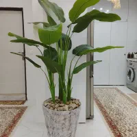 گالری بهشت (تولید درختچه مصنوعی)