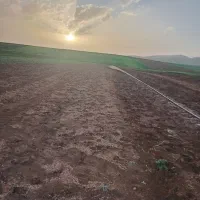 تراکتور|خدمات باغبانی و درختکاری|نورآباد, |دیوار