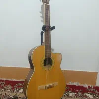 گیتار پیکاپ دار