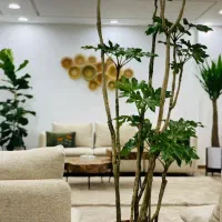 فروش-واحد-1-خواب-شخصی-ساز-قدوسی-غربی