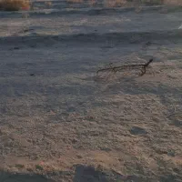 فروش زمین مسکونی