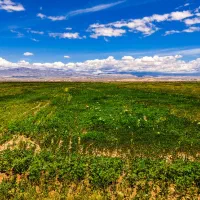 زمین-زراعی-و-کشاورزی