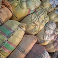 کاه|حیوانات مزرعه|تخت سلیمان, |دیوار