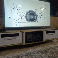 ال ای دی سام 55
