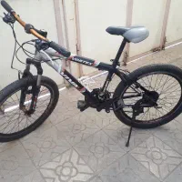 دوچرخه ۲۴ ویوای اصل