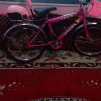 دپچرخه 20فروشی