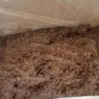 ۳۰۰ کیلو خمیر کشمش ابگیری