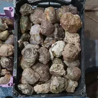 توپی سنگ|جواهرات|بافق, |دیوار