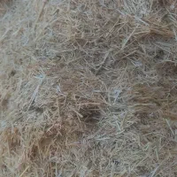 کاه گندم یک تن