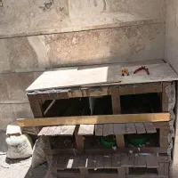 جفت کن