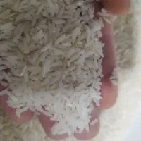 ۱ برنج شمال درجه یک خالص|خوردنی و آشامیدنی|تهران, آذربایجان|دیوار